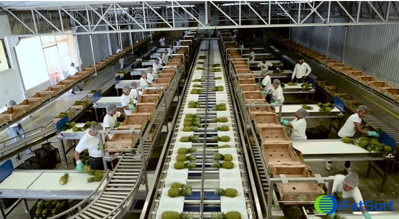 images/1656575154824pineapple packing machine3.jpg